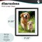 Stupell Industries Father & Son Labrador Framed Print Under Glass, design by Momart